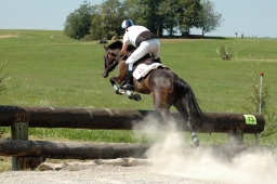 altensteig-2012_cic1-110-jpg