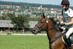 altensteig-2012_cic1-114-jpg
