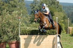 altensteig-2012_cic1-119-jpg