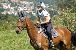 altensteig-2012_cic1-120-jpg
