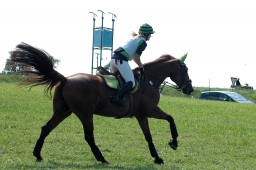 altensteig-2012_cic1-132-jpg