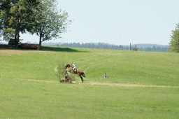 altensteig-2012_cic1-134-jpg