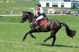 altensteig-2012_cic1-138-jpg