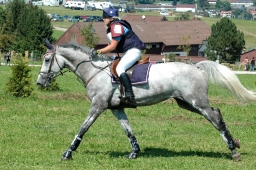 altensteig-2012_cic1-142-jpg