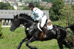 altensteig-2012_cic1-146-jpg
