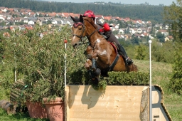 altensteig-2012_cic1-153-jpg