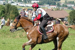 altensteig-2012_cic1-154-jpg
