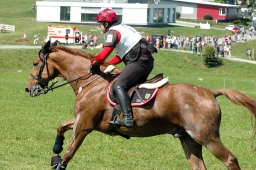 altensteig-2012_cic1-155-jpg