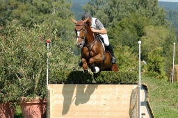 altensteig-2012_cic1-160-jpg
