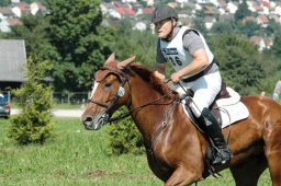 altensteig-2012_cic1-161-jpg