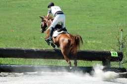 altensteig-2012_cic1-162-jpg