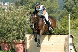 altensteig-2012_cic1-163-jpg
