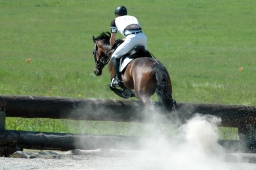 altensteig-2012_cic1-167-jpg