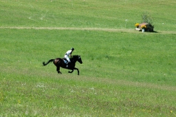 altensteig-2012_cic1-169-jpg