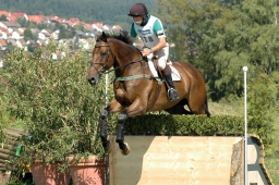 altensteig-2012_cic1-170-jpg