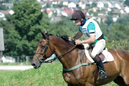 altensteig-2012_cic1-171-jpg