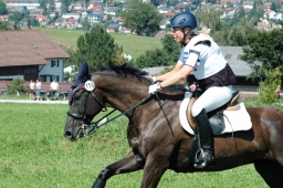 altensteig-2012_cic1-175-jpg