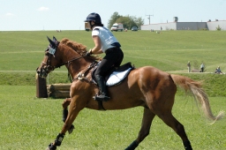 altensteig-2012_cic1-183-jpg