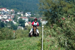 altensteig-2012_cic1-185-jpg