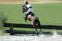 altensteig-2012_cic1-190-jpg