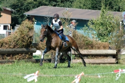 altensteig-2012_cic1-194-jpg