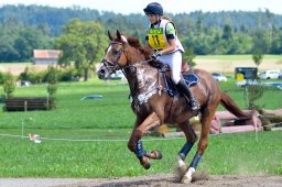 altensteig-2013_cic1-058-jpg