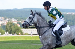 altensteig-2013_cic1-064-jpg
