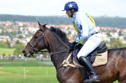 altensteig-2013_cic1-072-jpg