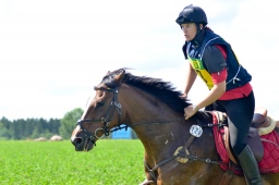 altensteig-2013_cic1-089-jpg