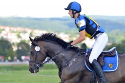 altensteig-2013_cic1-124-jpg