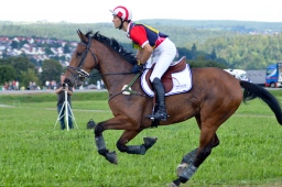 altensteig-2013_cic1-131-jpg