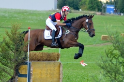altensteig-2013_cic1-133-jpg