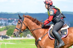 altensteig-2013_cic1-146-jpg