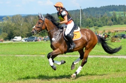 altensteig-2013_cic1-161-jpg