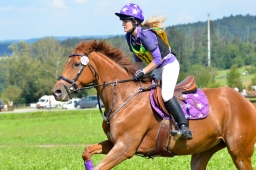 altensteig-2013_cic1-180-jpg