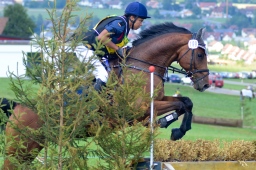 altensteig-2013_cic1-210-jpg