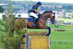 altensteig-2013_cic1-211-jpg