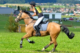 altensteig-2013_cic1-213-jpg