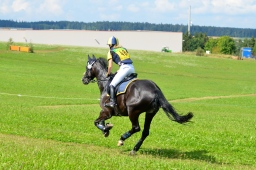 altensteig-2013_cic1-237-jpg
