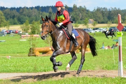 altensteig-2013_cic1-240-jpg
