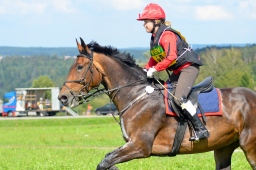 altensteig-2013_cic1-241-jpg