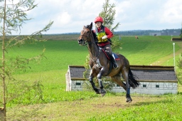 altensteig-2013_cic1-246-jpg