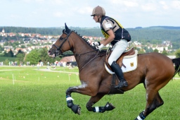 altensteig-2013_cic1-251-jpg