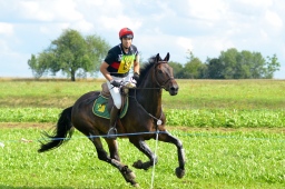 altensteig-2013_cic1-274-jpg