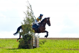 altensteig-2013_cic1-281-jpg