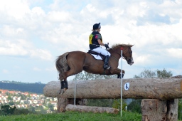 altensteig-2013_cic1-289-jpg