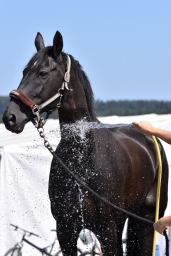 altensteig-2015_cic1-002-jpg