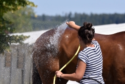 altensteig-2015_cic1-004-jpg