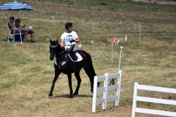 altensteig-2015_cic1-023-jpg