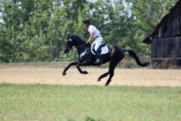 altensteig-2015_cic1-027-jpg